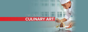 diploma in culinary art
